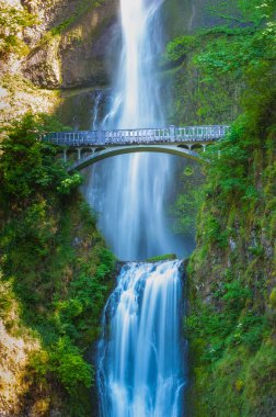 Görkemli Multnomah Şelaleleri Lush Oregon Ormanında Şelale gibi akıyor