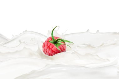 Taze ahududulu süt sıçraması