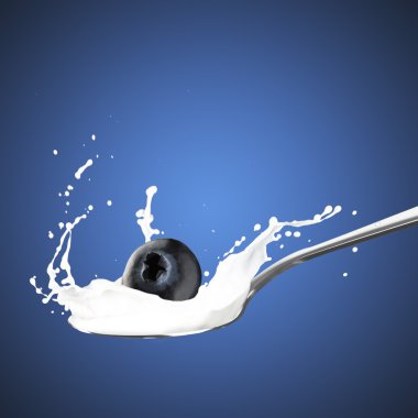 Süt düşen yaban mersini