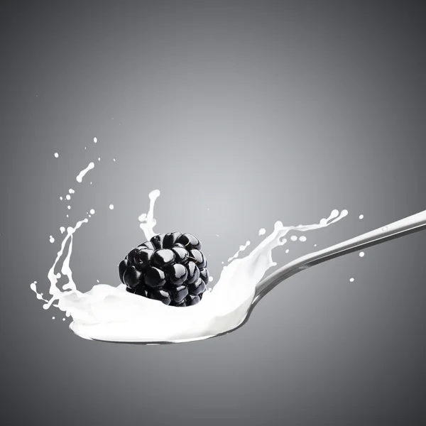 Blackberry cayendo en la leche — Foto de Stock