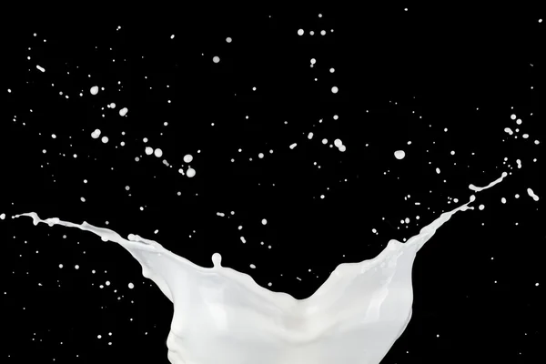 Salpicadura de leche blanca — Foto de Stock