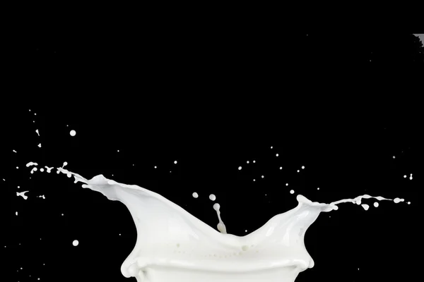 Splash de leite branco — Fotografia de Stock