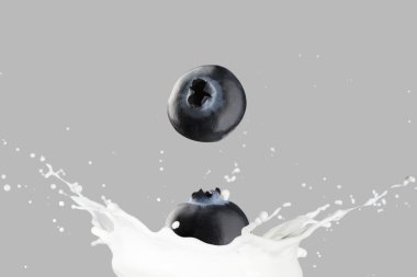 Süt düşen meyveleri