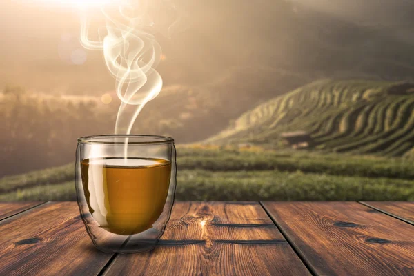 Hot green tea — Stock Photo, Image