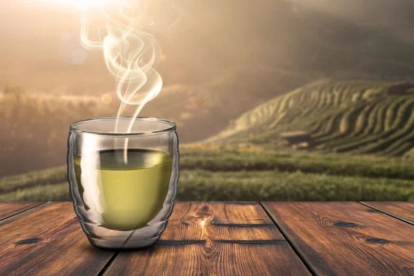 Hot green tea — Stock Photo, Image