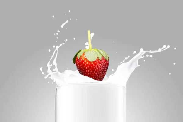 Φράουλα που πέφτει στο γάλα — Φωτογραφία Αρχείου