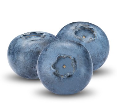 beyaz üzerine taze yaban mersini