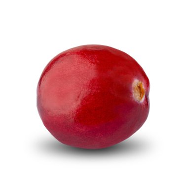 taze kırmızı yabanmersini