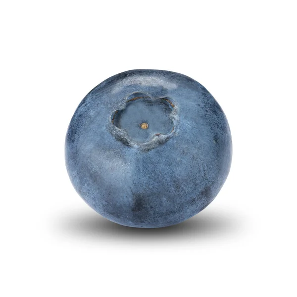 Blueberry segar di atas putih — Stok Foto