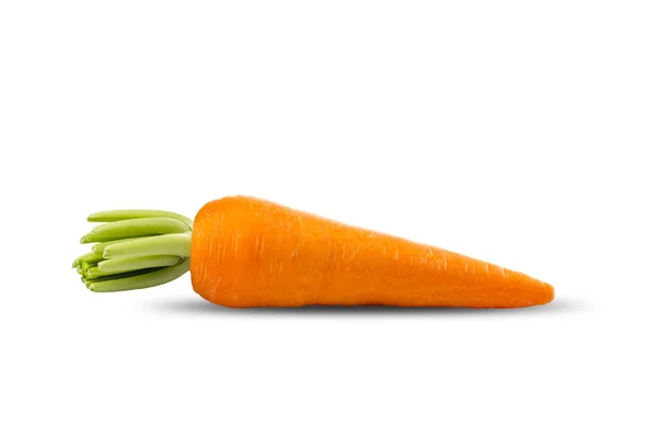 Свежая морковь на белом — стоковое фото