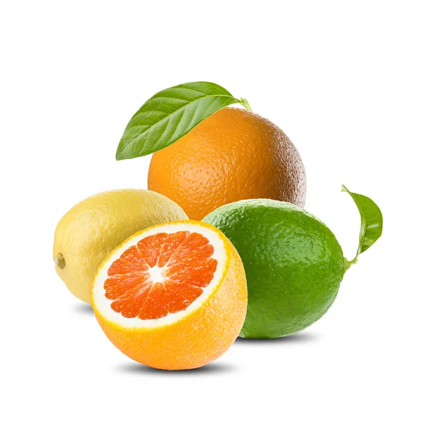 Citrusfélék halmaza — Stock Fotó