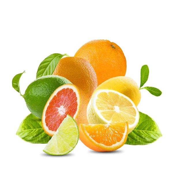 一套柑橘类水果 — 图库照片