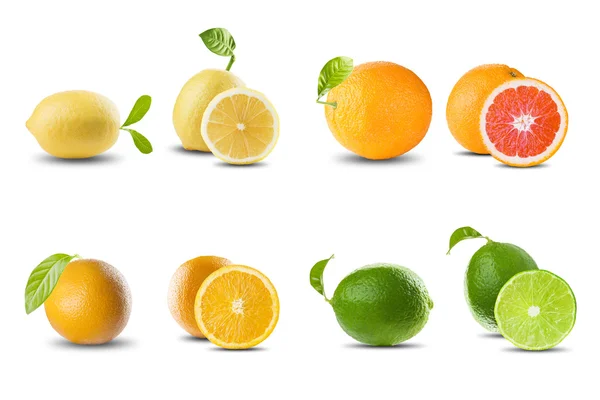 一套柑橘类水果 — 图库照片