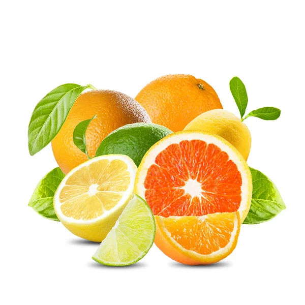 Set of Citrus Fruits — Stock Photo, Image