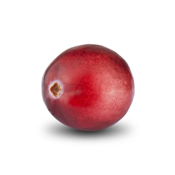 Verse rode cranberry — Stockfoto
