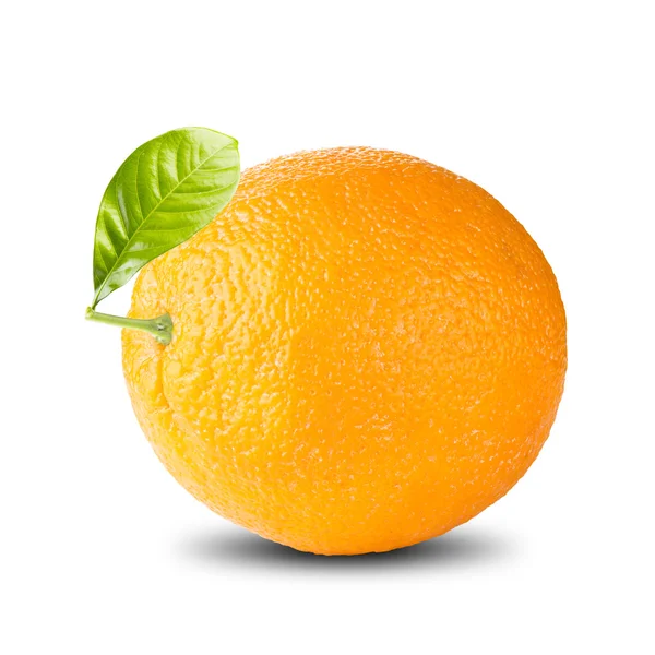 Friss grapefruit, fehér — Stock Fotó