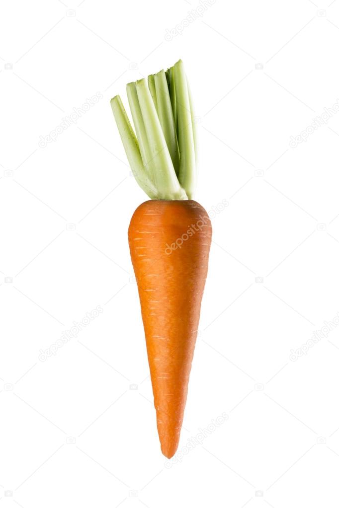 Fresh Carrot on White