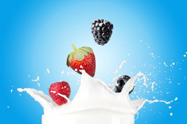 Süt Splash üzerinde düşen meyveleri karıştırmak