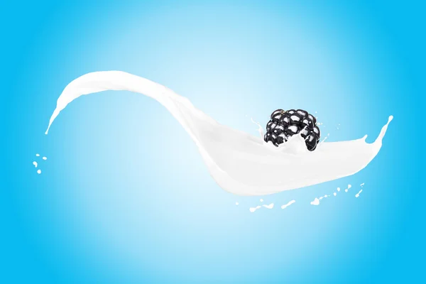 Blackberry Falling On Milk Splash — Stock Photo, Image