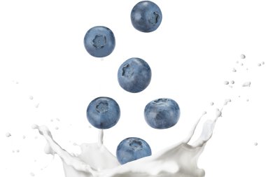 Süt Splash üzerinde düşen yaban mersini