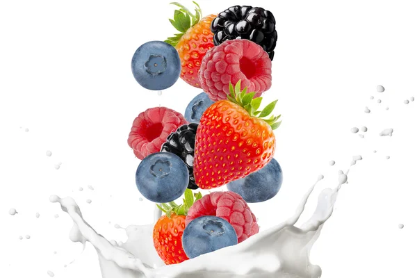 Смешать ягоды, падающие на молочные брызги — стоковое фото