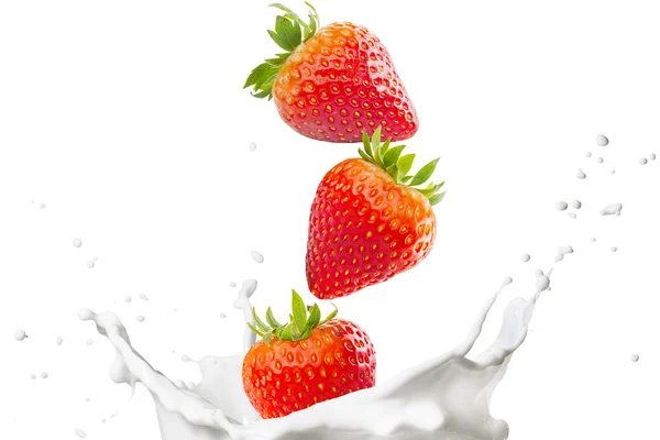 Fresas cayendo en el chorro de leche —  Fotos de Stock