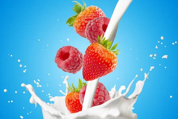 Beeren mischen, die auf Milchspritzer fallen — Stockfoto