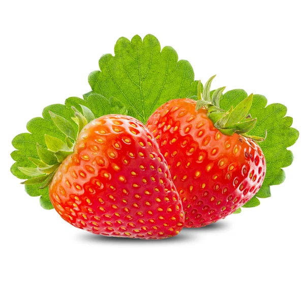 Verse aardbeien met groen blad — Stockfoto
