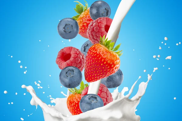 Mix Berries Falling On Milk Splash — Stock Photo, Image