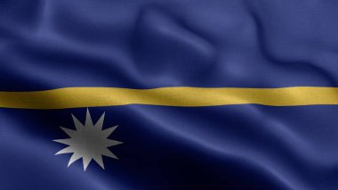 Nauru dalgalanan bayrak dokusu gerçekçi