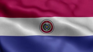 Paraguay dalgalanan bayrak dokusu gerçekçi