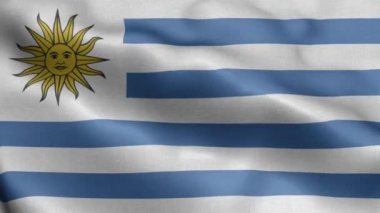 Uruguay dalgalanan bayrak dokusu gerçekçi