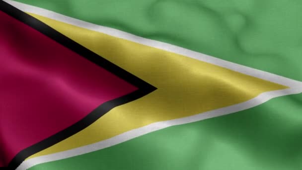 Guyana Ondeando Bandera Textura Realista — Vídeo de stock