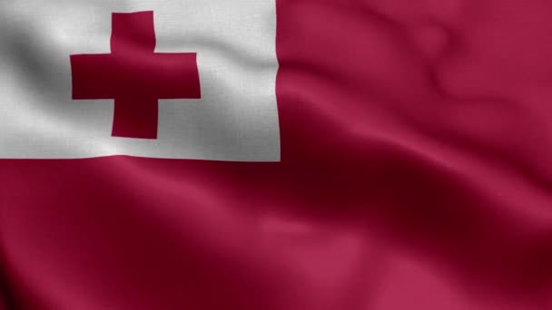 Tonga Waving Flag Texture Realistic — Stock Video