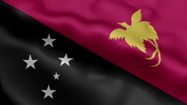 Papua New Guinea Waving Flag Texture Realistic — Stock Video
