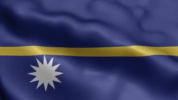 Nauru Acenando Textura Bandeira Realista — Vídeo de Stock