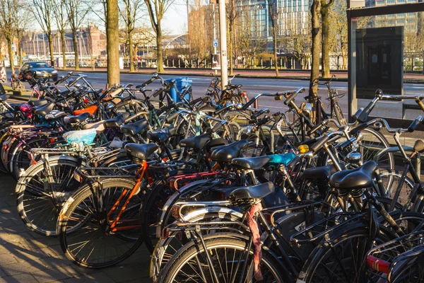 Bicicletas atracadas em Amsterdam — Fotografia de Stock