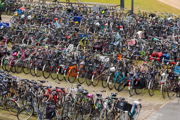 Grandes quantidades de bicicletas em Amsterdã — Fotografia de Stock