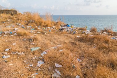 Çöp sorunu Hindistan