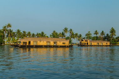 Güney Hindistan'ın Kerala önemsizden içinde yüzen