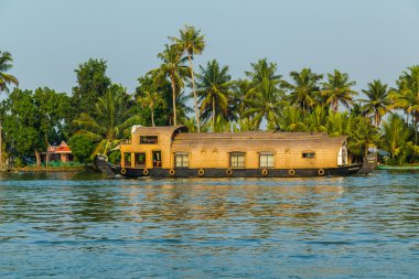 Güney Hindistan'ın Kerala önemsizden içinde yüzen