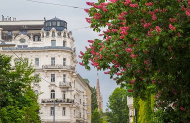 VIENNA, AUSTRIA - 10 Mayıs 2016: Viyana 'da İnşaat ve Sokaklar