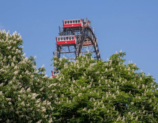 Vienna Austria 8Th May 2016 View Riesenrad Spring Showing Colourful — Stock Photo, Image