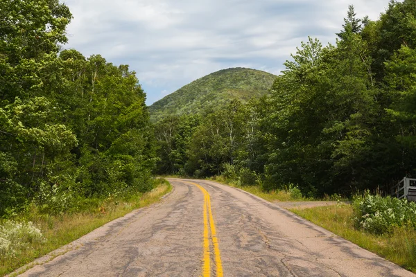 Heuvels Weg Vallei Van Margaree Cape Breton — Stockfoto