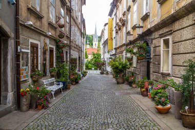 Ljubljana sokaklarda 