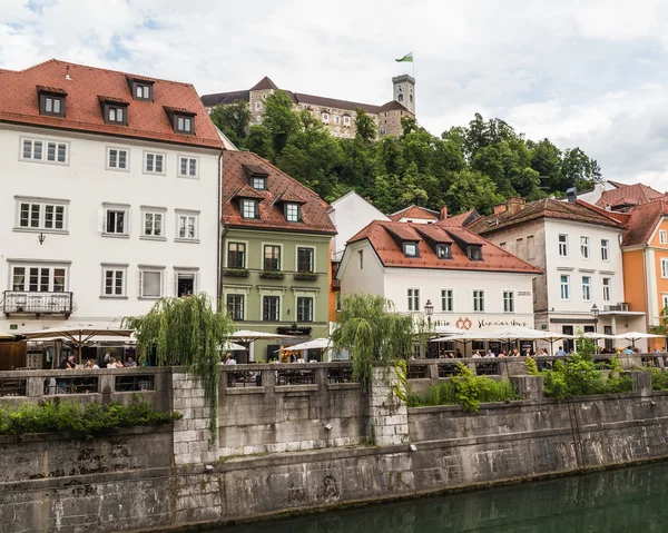 Vue sur la rivière Ljubljana — Photo