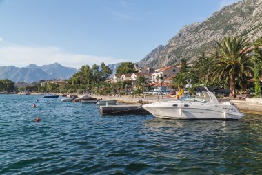 Kotor Waterfront yaz