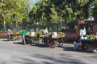 Jaipur sokaklarında