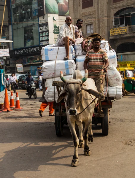 Carros, pessoas e vacas em Delhi — Fotografia de Stock