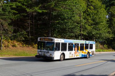 Halifax halk otobüsü